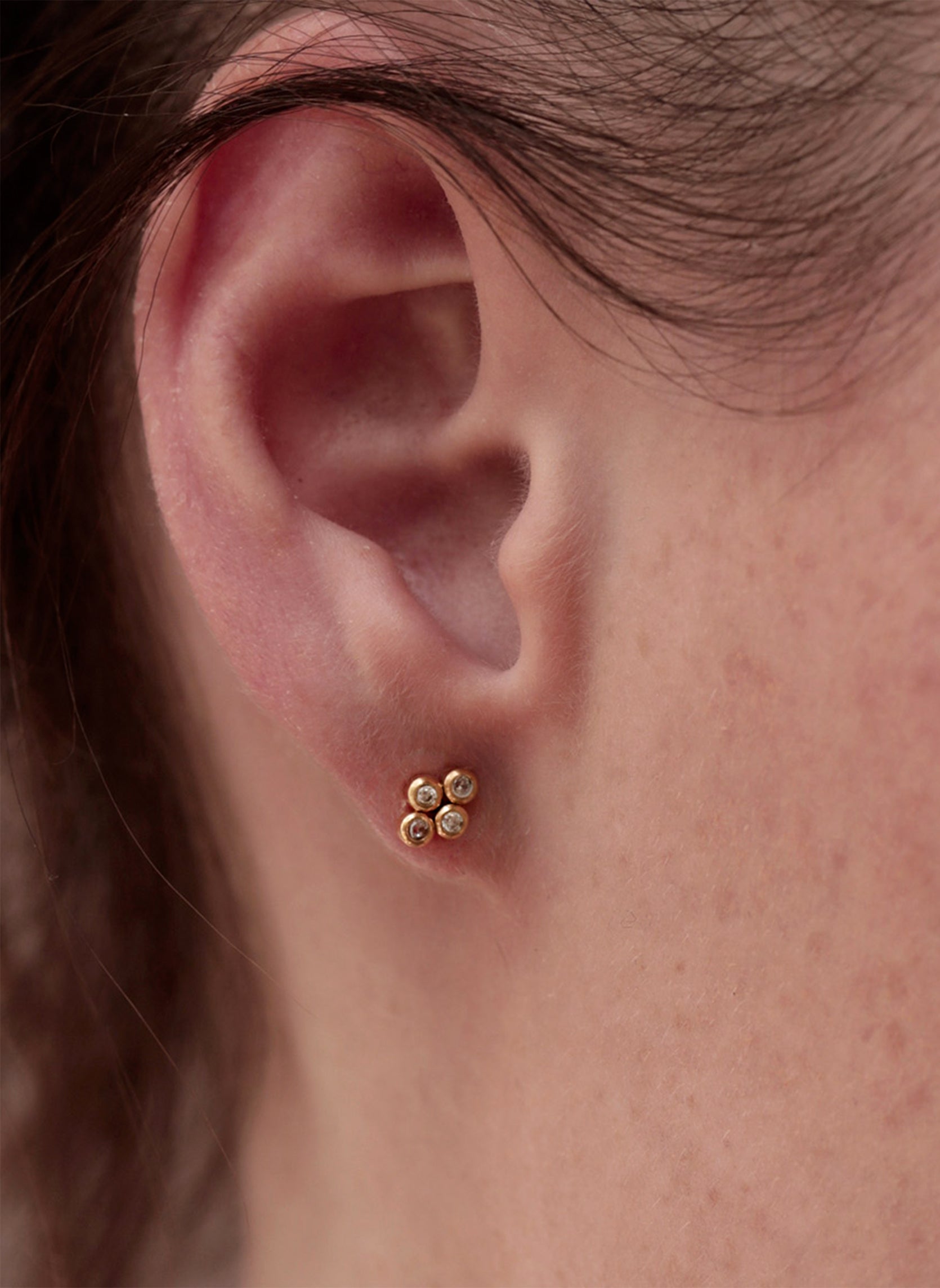 Puces d'oreilles Eos