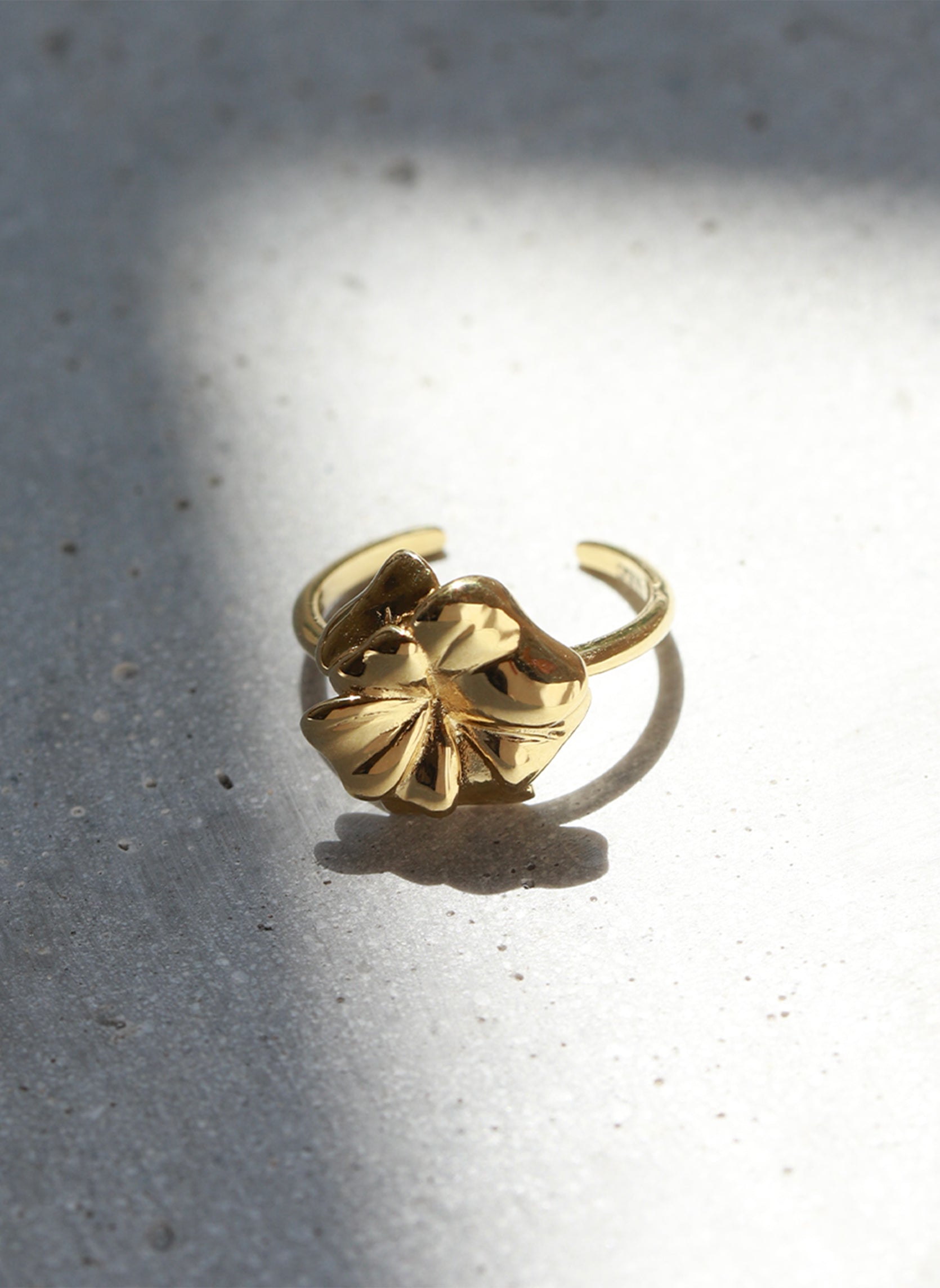 Large ring Subra